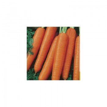 Карлена семян моркови (Satimex)