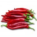 Хирош семян горького перца (Innova Seeds)