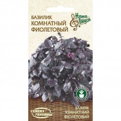 Комнатный фиолетовый семена базилика (Семена Украины)