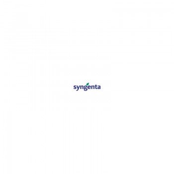 Концепция 3 протравитель (Syngenta)