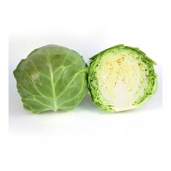 КС 1450 F1 семена капусты белокочанной (Kitano Seeds)