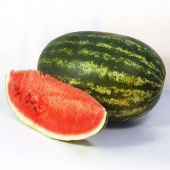 Шейні F1 (KS 163 F1) насіння кавуна середнього (Kitano Seeds)