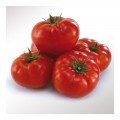 КС 206 F1 (KS 206 F1) семена томата индетерминантного (Kitano Seeds)
