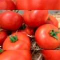 КС 301 F1 (KS 301 F1) семена помидора индетерминантного (Kitano Seeds)