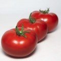 КС 301 F1 (KS 301 F1) семена помидора индетерминантного (Kitano Seeds)