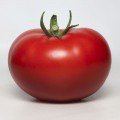 КС 301 F1 (KS 301 F1) семена помидора индетерминантного (Kitano Seeds)
