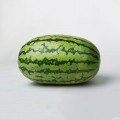 Астерикс F1 (LS 1803 F1) семена арбуза раннего (Lucky Seed)