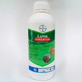 Фунгицид Луна Сенсейшен – Bayer