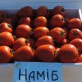 Наміб F1 насіння томату дет. раннього 55-60 днів. слив. 110-120 гр. червоний (Syngenta)