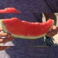 Нептун F1 насіння кавуна середнього (Takii Seeds)