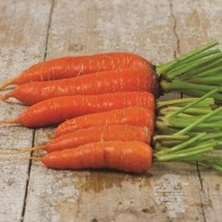 Нью Курода семена моркови (Euroseed)