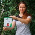 Пінк Унікум F1 насіння помідора індетермінантного (DRS-Seminis)