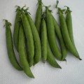 Продіджі насіння гороху (Lark Seeds)