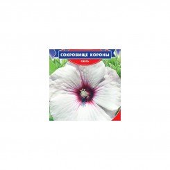 Сокровище короны семян гибискуса (GL Seeds)