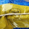 Тріумф сіянка цибулі