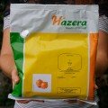 Вольф F1 насіння цибулі ріпчастої озимої (Hazera)