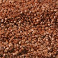 Антрацит F1 семян баклажана раннего (Lucky Seed)