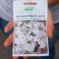 Браво F1 белое (white) семена петунии (Syngenta)