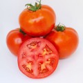 Джем F1 семена помидора детерминантного (Ergon seeds)