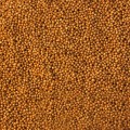 Гарантия F1 семян капусты белокочанной (Lucky Seed)