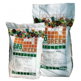 Гринта Берри (Grinta Berry) NPK 14-7-26+3Mg+TE водорастворимое удобрение (GroGreen)