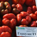 Геркулес F1 семена перца сладкого (Clause)