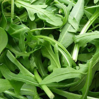Уайлд Рокет семян руколы дикой (Hortus)