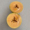 Алиша F1 (INX 1077 F1) семена дыни (Innova Seeds)