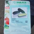 Хелен F1 семена огурца партенокарпического (Sakata)