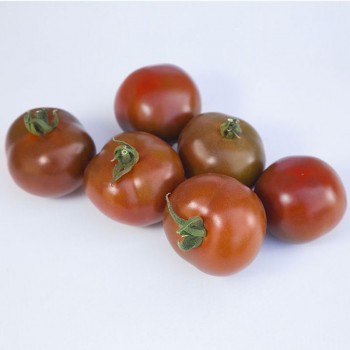 КС 3900 F1 (KS 3900 F1) семена помидора индетерминантного (Kitano Seeds)