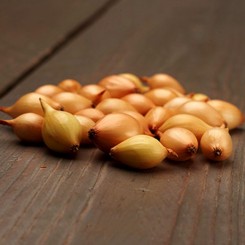 Купідо 8/21 сіянка цибулі (TOP Onion Sets)