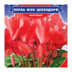 Перла фон Целендорф F1 семена цикламена махрового (GL Seeds)