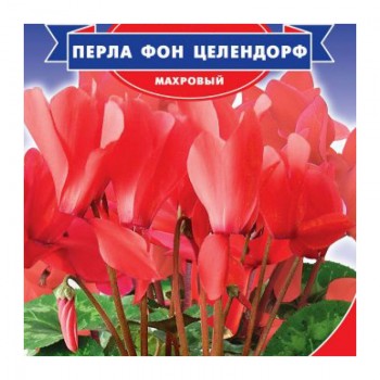Перла фон Целендорф F1 семена цикламена махрового (GL Seeds)