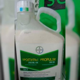 Фунгіцид Пропульс – Bayer