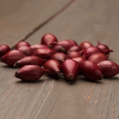 Ред Барон 8/21 сеянка лука (TOP Onion Sets)
