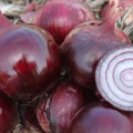 Ройо Дуро F1 семена лука репчатого красного (LibraSeeds)