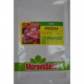 Растение семян салата тип Батавия (Moravoseed)