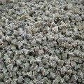 Свекла желтая семена микрозеленые (Agrocity)