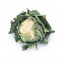 Веноса F1 (Venosa) семена капусты цветной средней (Rijk Zwaan)