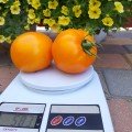 Батур F1 насіння детермінантного томату (LibraSeeds)