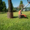 Бордюр TreeSave для захисту стволів дерев, висота 20см, ширина 33см, зелений (Bradas)