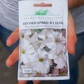 Браво F1 біла (white) насіння петунії (Syngenta)