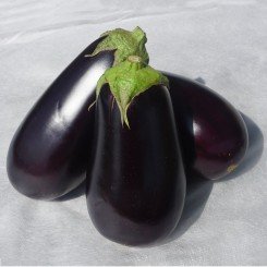 Джокер F1 (CRX 50125 F1) семян баклажана раннего (Cora Seeds)