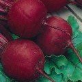 Детройт Дарк Ред 2 насіння буряка столового (Bakker Brothers)