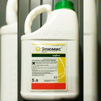 Гербіцид Елюміс (Елюміс) 105 OD - Syngenta