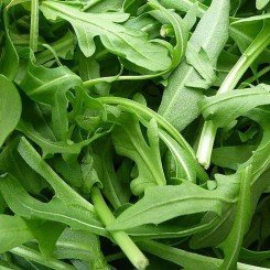 Уайлд Рокет семян руколы дикой (Hortus)