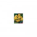 Карусель Yellow (желтая) семена фиалки (Kitano Seeds)