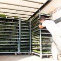 Касета для розсади Голландський стандарт 32 осередка (59х110х20) без піддону, 54х28см (Agreen)