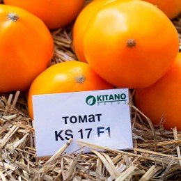 Нукси (КС 17, KS 17) F1 семена томата дет. среднепозднего 115-125 дн. окр. желтого 220-250г (Kitano Seeds)