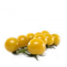 КС 3670 (KS 3670) F1 семена помидора черри детерминантного (Kitano Seeds)